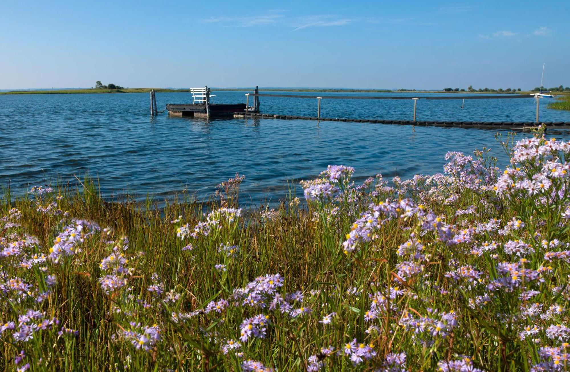 Ostsee Residenz Meeresblick Bellevue Poel Exterior foto