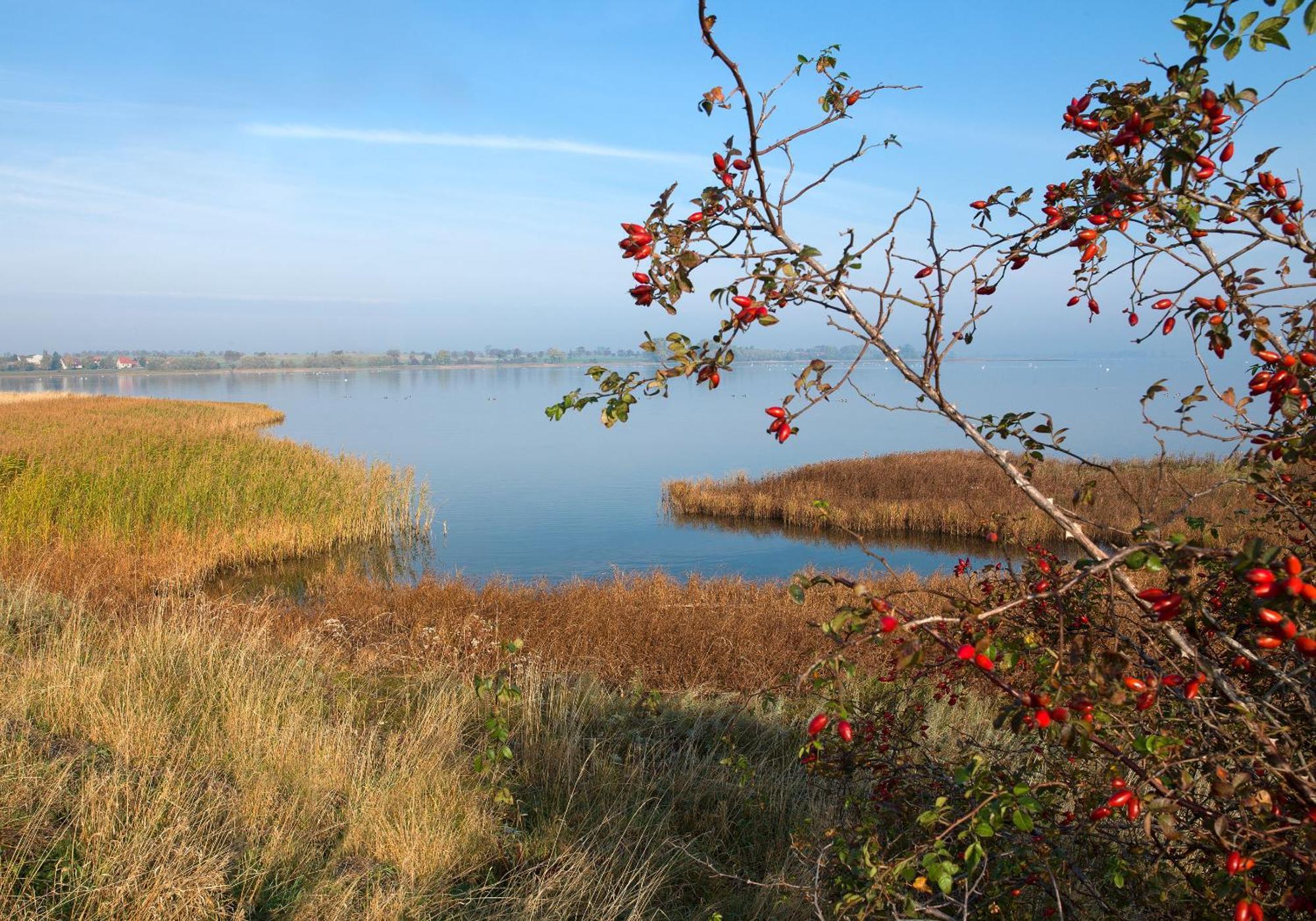 Ostsee Residenz Meeresblick Bellevue Poel Exterior foto
